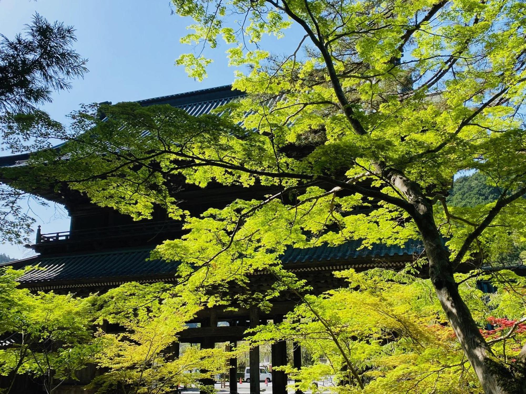 Ryokan Tanakaya Minobu Extérieur photo